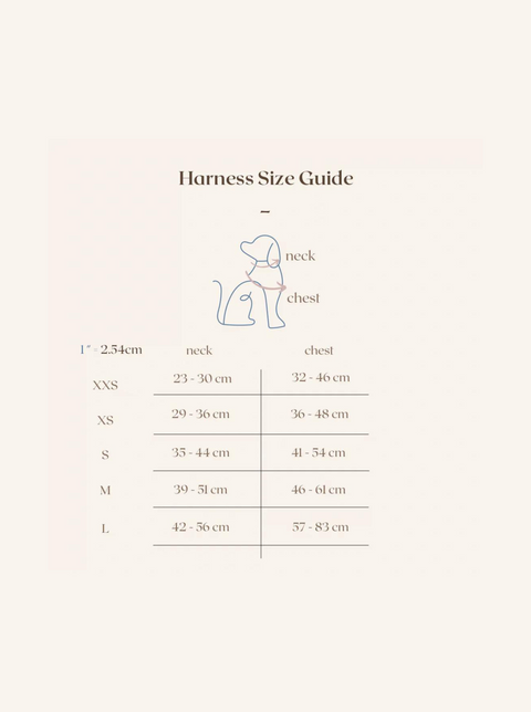 Cute Loops Harness