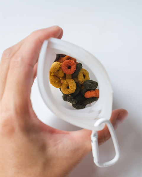 Petite Jelly Pouch