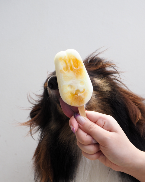 Regular Pawpsicles Mix & Match