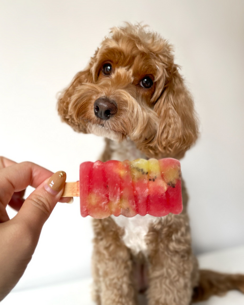 Watermelon Kiwi Slushy (Mini)