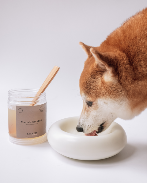 Bone Broth