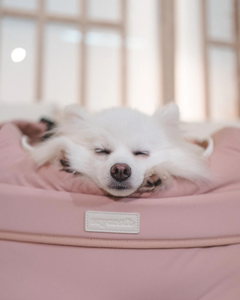 MALLOW SLING BAG IN DUSTY ROSE (SIZE M)