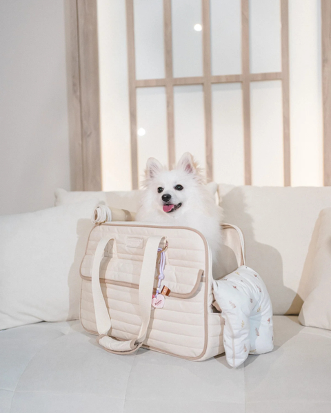 CLOUD EDIT PET CARRIER