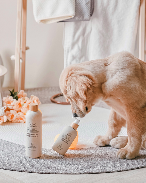 Amino Acid Pet Shampoo