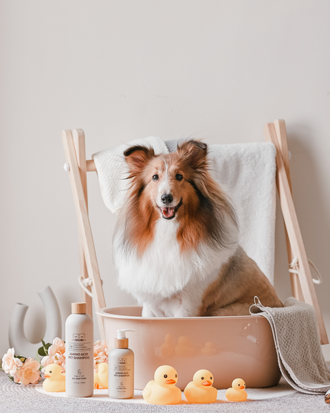 Amino Acid Pet Shampoo