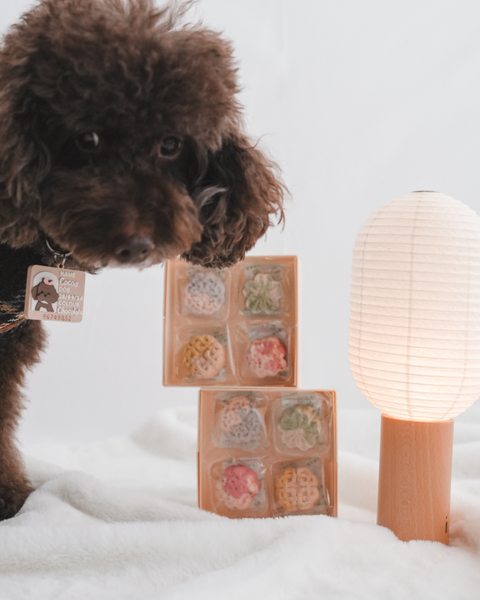 Assorted Mooncake Box