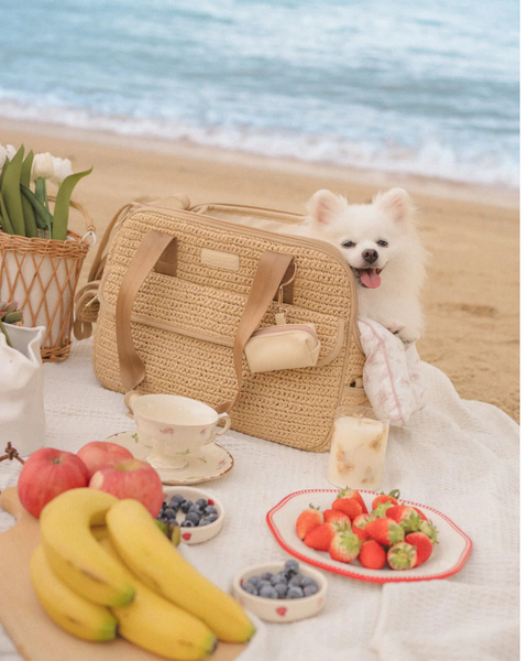 SOLEIL WOVEN PET CARRIER (SIZE S)