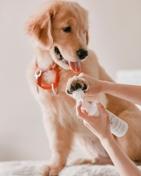 Amino Acid Paw Cleanser