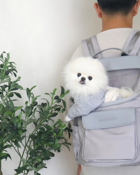 SOYAGE PET BACKPACK (<4KG PETS)