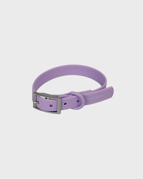 Gone Exploring Dog Collar