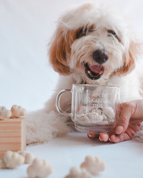 Puppuccino