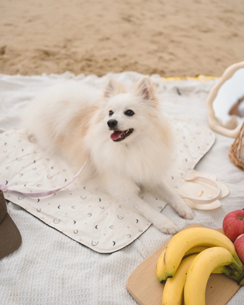 BASKIE PLACE MAT (WATERPROOF)