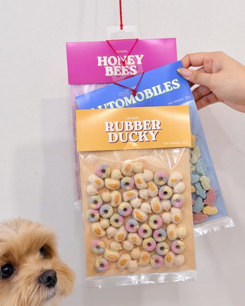 Rubber Ducky