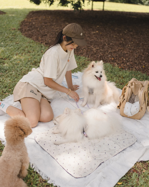 BASKIE PLACE MAT (WATERPROOF)
