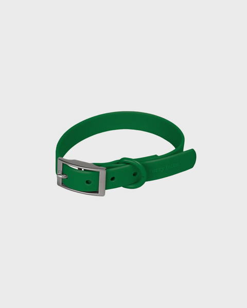 Gone Exploring Dog Collar