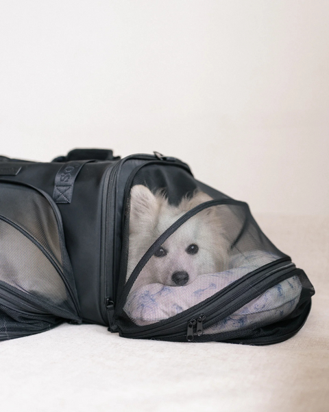 PET PORTER V2 CARRIER (AIRLINE COMPLIANT)