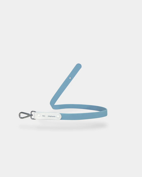 Explorer Leash PART B: Colour Strap