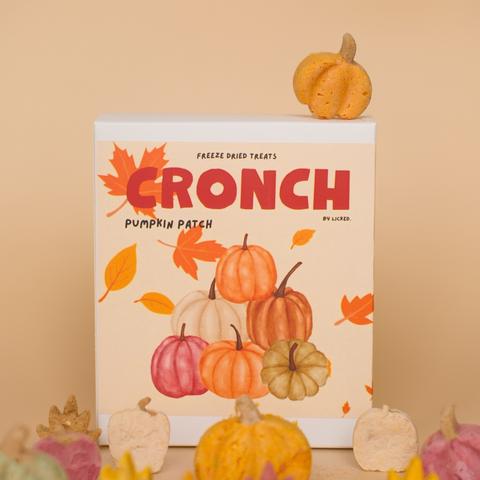 Pumpkin Patch