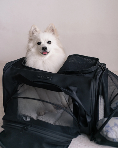 PET PORTER V2 CARRIER (AIRLINE COMPLIANT)