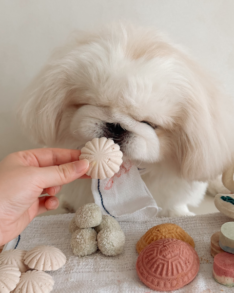 Tutu Kueh