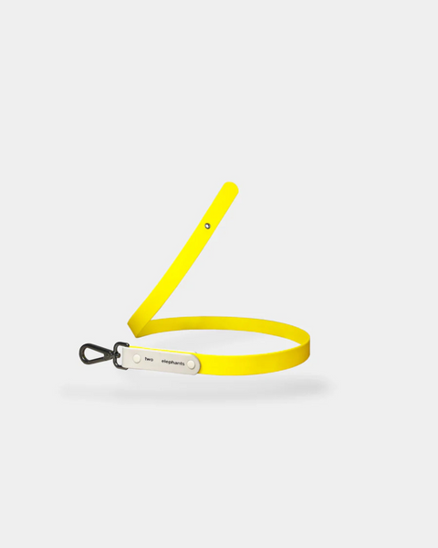 Explorer Leash PART B: Colour Strap