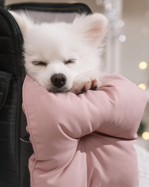 CLIP-ON CUSHION