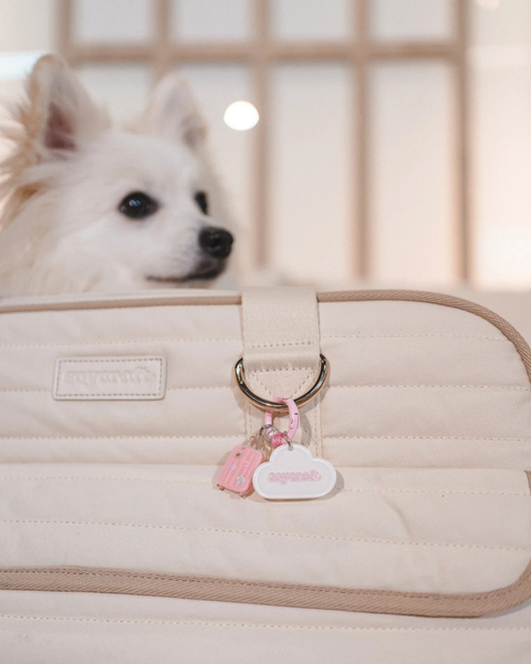 CLOUD EDIT PET CARRIER