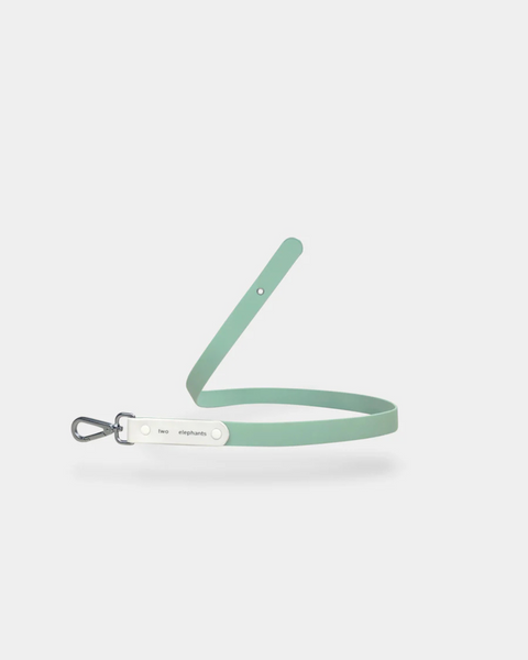 Explorer Leash PART B: Colour Strap