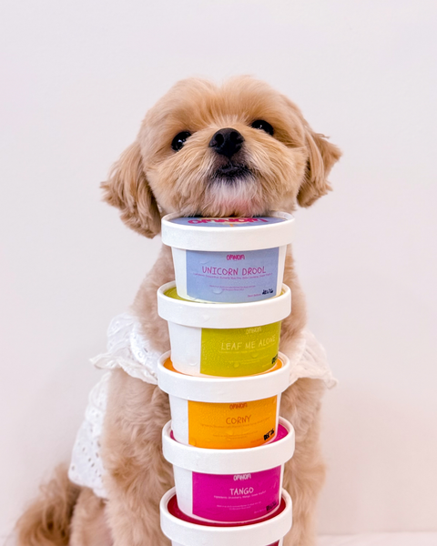 The Pawty Pack (Birthday Sale)