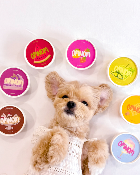The Pawty Pack (Birthday Sale)