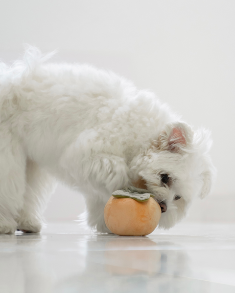 Squeaky Persimmon Toy