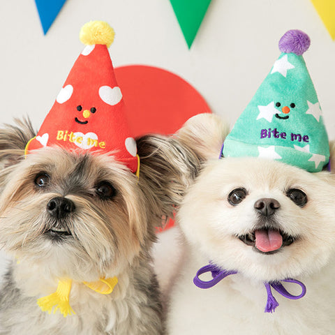 Party Hat Toy (Set of 3)