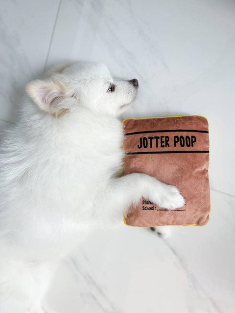 Jotter Poop Toy