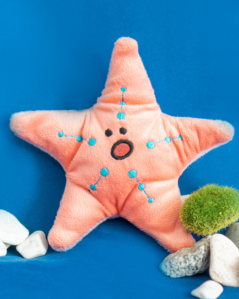 Starfish Nosework Toy