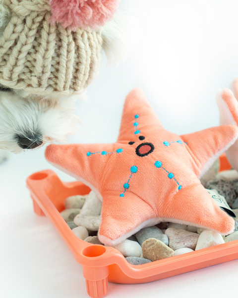 Starfish Nosework Toy