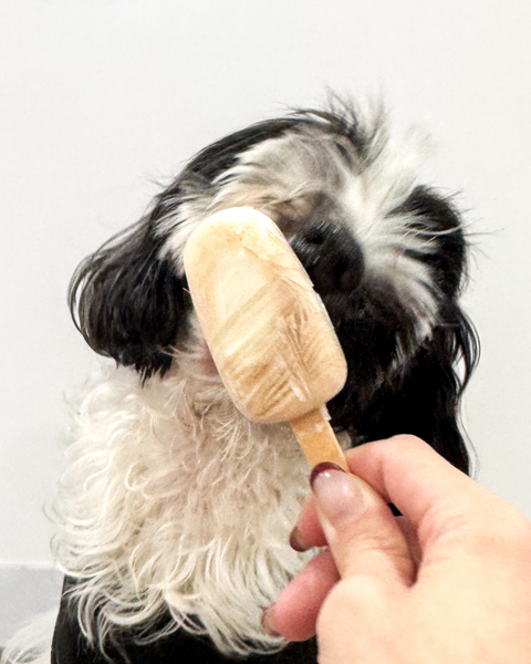 Iced Pawlo