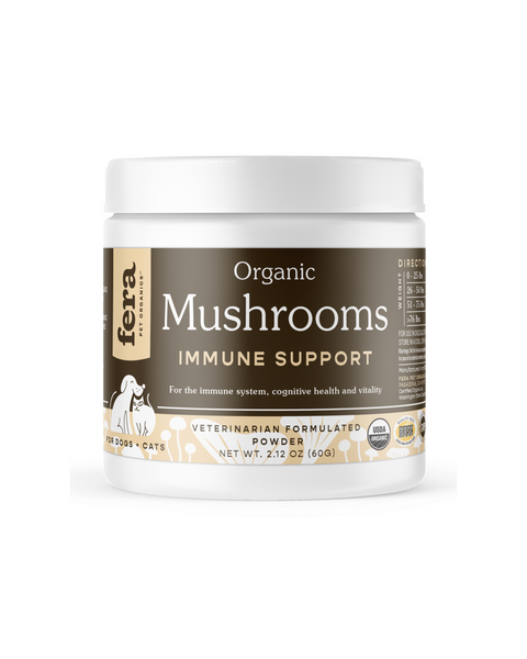 Organic Mushroom Blend for Immune Support