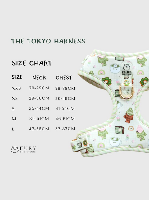 THE TOKYO HARNESS