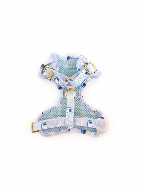 Sea-Lly Creatures Harness