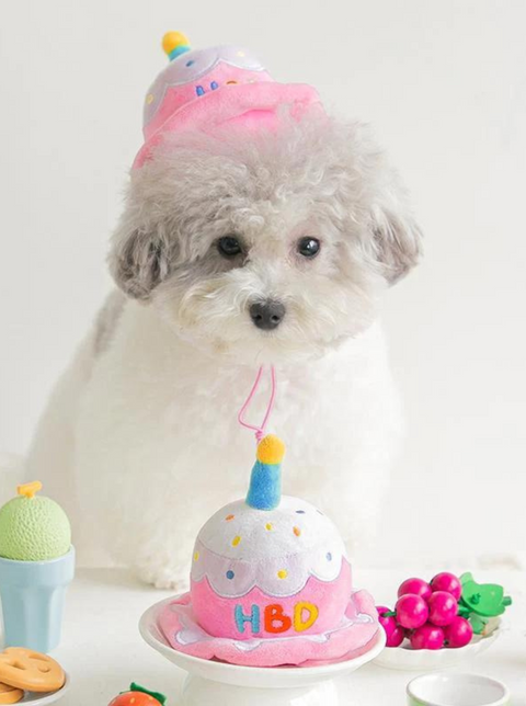 HBD Party Cake Hat