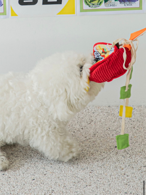 Ramen Noodle Nosework Toy