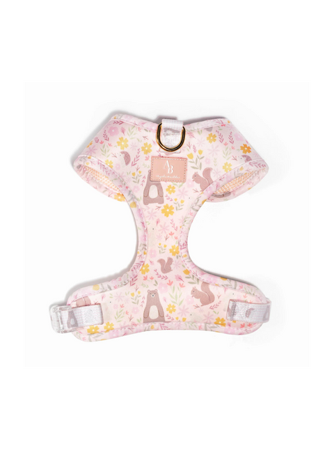 Little Wonders Harness