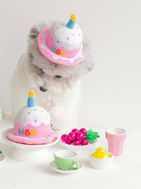 HBD Party Cake Hat