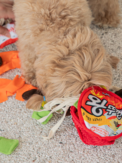 Ramen Noodle Nosework Toy