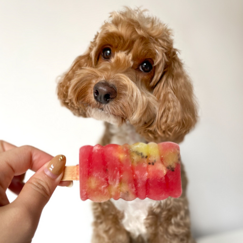 Mini Pawpsicles Mix & Match