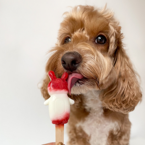 Mini Pawpsicles Mix & Match