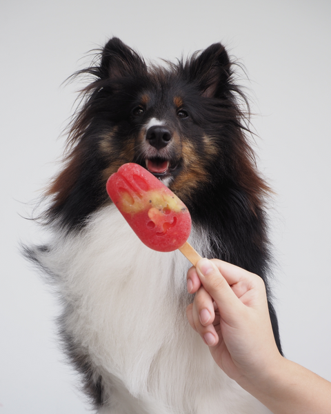 Regular Pawpsicles Mix & Match