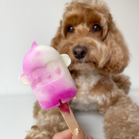 Mini Pawpsicles Mix & Match