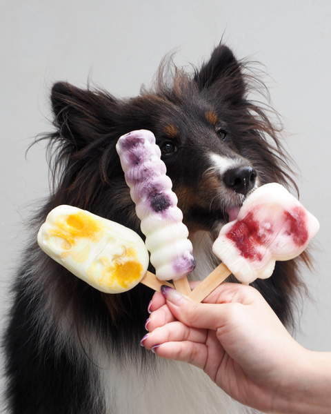 Regular Pawpsicles Mix & Match