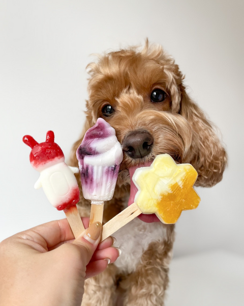 Mini Pawpsicles Mix & Match